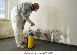 Best Black Mold Removal  in USA